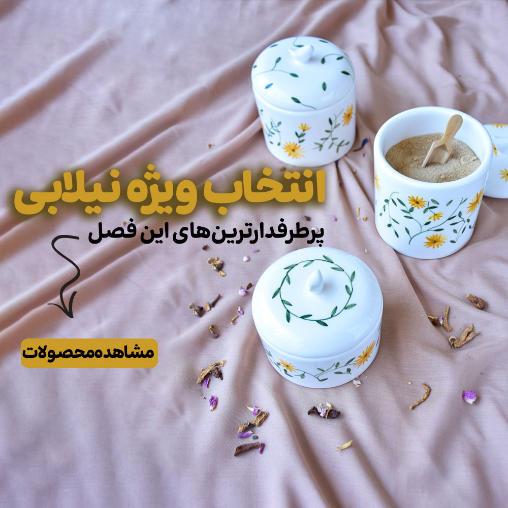 انتخاب ویژه نیلابی