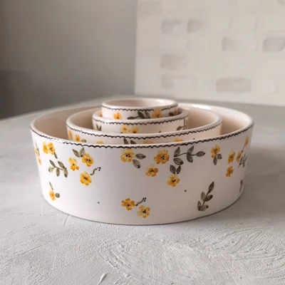 ست ۴ عددی ظروف سرامیکی پذیرایی دستساز برای میوه و آجیل